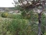 04102007123 WSW.jpg - Dørødveien 8. Bilder tatt oppe fra fjellet bak huset mitt. Dette er ca. mot Vest Syd Vest